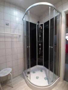 WalkenriedにあるFerienwohnung-Stricker-3-2のバスルーム(ガラス張りのシャワー付)が備わります。