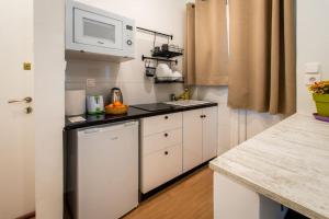 Acropolis Explorer Studio tesisinde mutfak veya mini mutfak