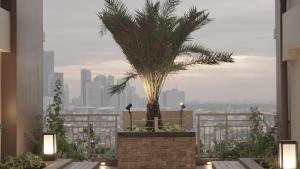 a palm tree sitting on top of a building at Weston 1 bedroom Unit with Balcony in Manila