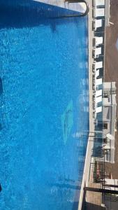a swimming pool with a shark in the water at Bodrum 3 bedrooms family villa dublex in Bodrum City