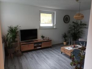 TV a/nebo společenská místnost v ubytování FeWo ,,An der kleinen Wilde''