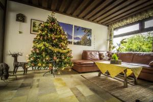 Posezení v ubytování Haus Patricia
