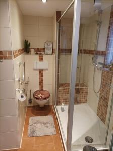 ein kleines Bad mit einer Dusche und einem WC in der Unterkunft FeWo ,,An der kleinen Wilde'' in Stolberg i. Harz