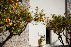 Fotografie z fotogalerie ubytování Citrus Grove Luxury Villas v destinaci Skaleta