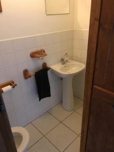 La salle de bains est pourvue d'un lavabo et de toilettes. dans l'établissement Maison L’allee, à Lézignac-Durand