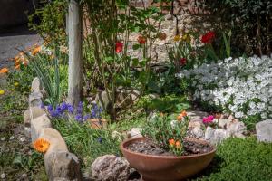 Zahrada ubytování B&B LA MIMOSA E IL GELSOMINO