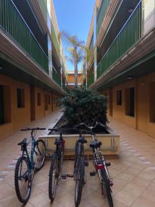 Jazda na bicykli v okolí ubytovania Apartament Eucaliptus