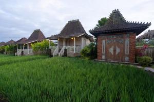 Uma Sebatu Villa外面的花园