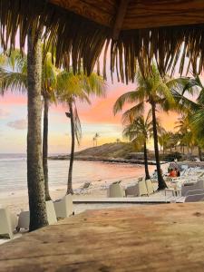 a view of a beach with chairs and palm trees at Studio Kaz Ananas au Manganao in Saint-François