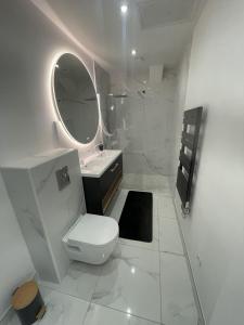 une salle de bain avec toilettes, lavabo et miroir dans l'établissement Cosy house, à Le Petit-Quevilly