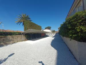une passerelle avec un palmier et un bâtiment dans l'établissement Le Palme 98 "Casa Vacanze", à Lido di Camaiore