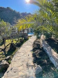 a stone path with a palm tree in a park at The Nook at Monda in Monda