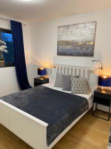 1 dormitorio con 1 cama, 2 lámparas y una pintura en Ferienwohnungen Nalbach Bierbach, en Nalbach