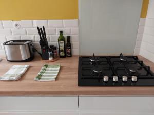 a kitchen counter with a stove and a counter top with a stove top at Le Mistralet in Salon-de-Provence