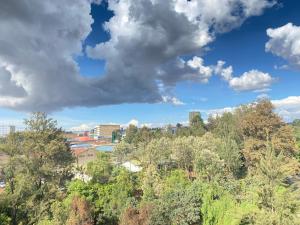 - une vue sur la ville depuis une colline arborée dans l'établissement The Cream Loft, à Eldoret