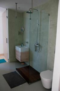 y baño con ducha, aseo y lavamanos. en Casa Do Guarda Rios, en Ponte Nova