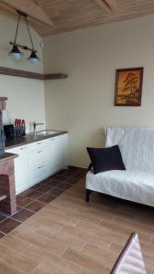 a living room with a couch and a kitchen at VilaFėja Private courtyard house in Palanga