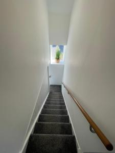 a stairway with a potted plant on a window at Mayfair, Tintagel 3 bed sleeps 6 in Tintagel