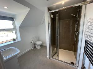 een badkamer met een douche en een toilet bij Mayfair, Tintagel 3 bed sleeps 6 in Tintagel