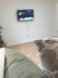 TV a/nebo společenská místnost v ubytování Studio Apartments in Ruhrgebiet