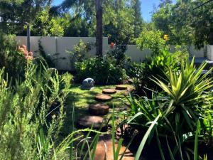 a garden with rocks and plants in a yard at Tonquani - Knysna (est. 2022) in Knysna