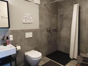 een badkamer met een douche, een toilet en een wastafel bij Ferienwohnungen Klosterhof1595 in Sipplingen