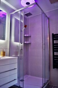 a shower with a glass door in a bathroom at Le Cosy in Crest