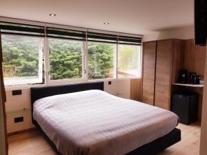 a bedroom with a bed and two windows at Dishoek in Dishoek