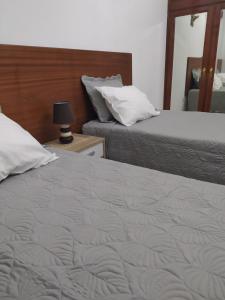 a bedroom with two beds and a mirror at Vivenda das Eiras in Vale de Porco