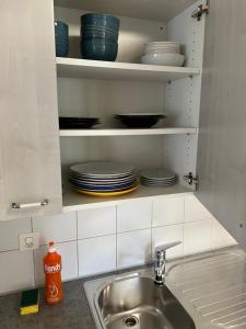 una cucina con lavandino e piatti in un armadio di APARTAMENT CARMEN a Interlaken