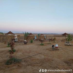 a group of huts in the middle of a field at stars camp oasis in Bawiti