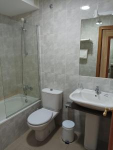 ein Bad mit einem WC und einem Waschbecken in der Unterkunft Hotel Villa Jardín in Portomarin
