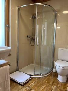 a bathroom with a shower and a toilet at Ballyhoura Forest Home in Ballyorgan