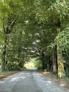 una carretera con árboles a ambos lados. en Ballyhoura Forest Home, en Ballyorgan