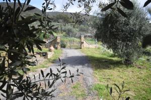 un camino a través de un jardín con una puerta en Villa Noemi, en Scarlino