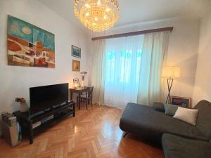 Televízia a/alebo spoločenská miestnosť v ubytovaní Centar Park Apartment