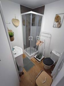 y baño con ducha, aseo y lavamanos. en Namaste Studio by T&L, en Denain