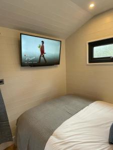 a bedroom with a bed and a tv on the wall at Canalside View Mini Lodge with private hot tub in Llangollen
