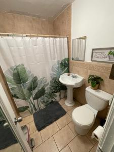 a bathroom with a toilet and a sink and a shower at Habitacion Centrica Calle 8 Miami (2) in Miami