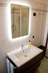 een wastafel in de badkamer met een spiegel en een douche bij Casa Fiume in Mantova