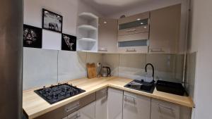 a kitchen with a stove and a sink in it at Apartament na Moniuszki in Legnica +7 photos