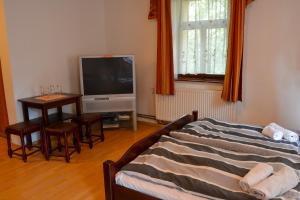 1 dormitorio con cama, mesa y TV en Penzion U parku, en Rumburk