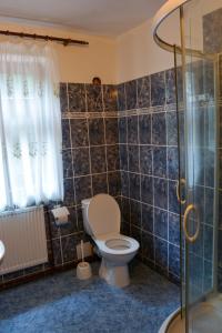 a bathroom with a toilet and a glass shower at Penzion U parku in Rumburk