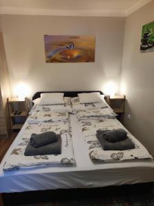łóżko z dwoma poduszkami w sypialni w obiekcie Green garden apartment w Segedynie