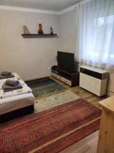 1 dormitorio con 1 cama, TV y alfombra en Green garden apartment en Szeged