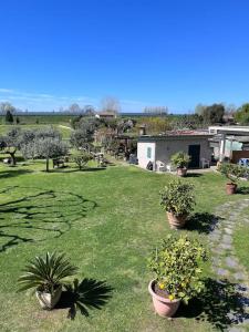 einen Hof mit Topfpflanzen auf dem Gras in der Unterkunft La Casa di Margot in Forte dei Marmi