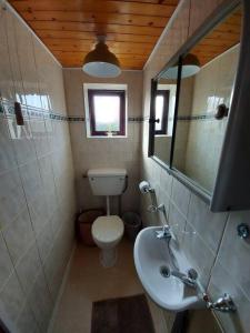 a bathroom with a toilet and a sink and a mirror at Newly renovated private Annex by the Sea in Hartley