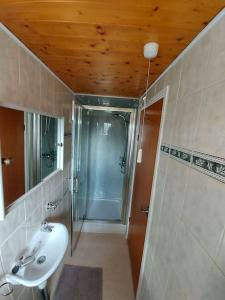 ein Bad mit einer Dusche und einem Waschbecken in der Unterkunft Newly renovated private Annex by the Sea in Hartley
