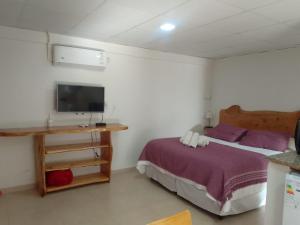 - une chambre avec un lit et une télévision à écran plat dans l'établissement Alquiler cabañas Posada del Angel en Valle Grande, à San Rafael