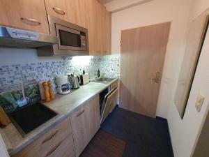 a small kitchen with a sink and a microwave at Apartment, 2 bedrooms, kitchen+2 bathrooms in Mitterfirmiansreut